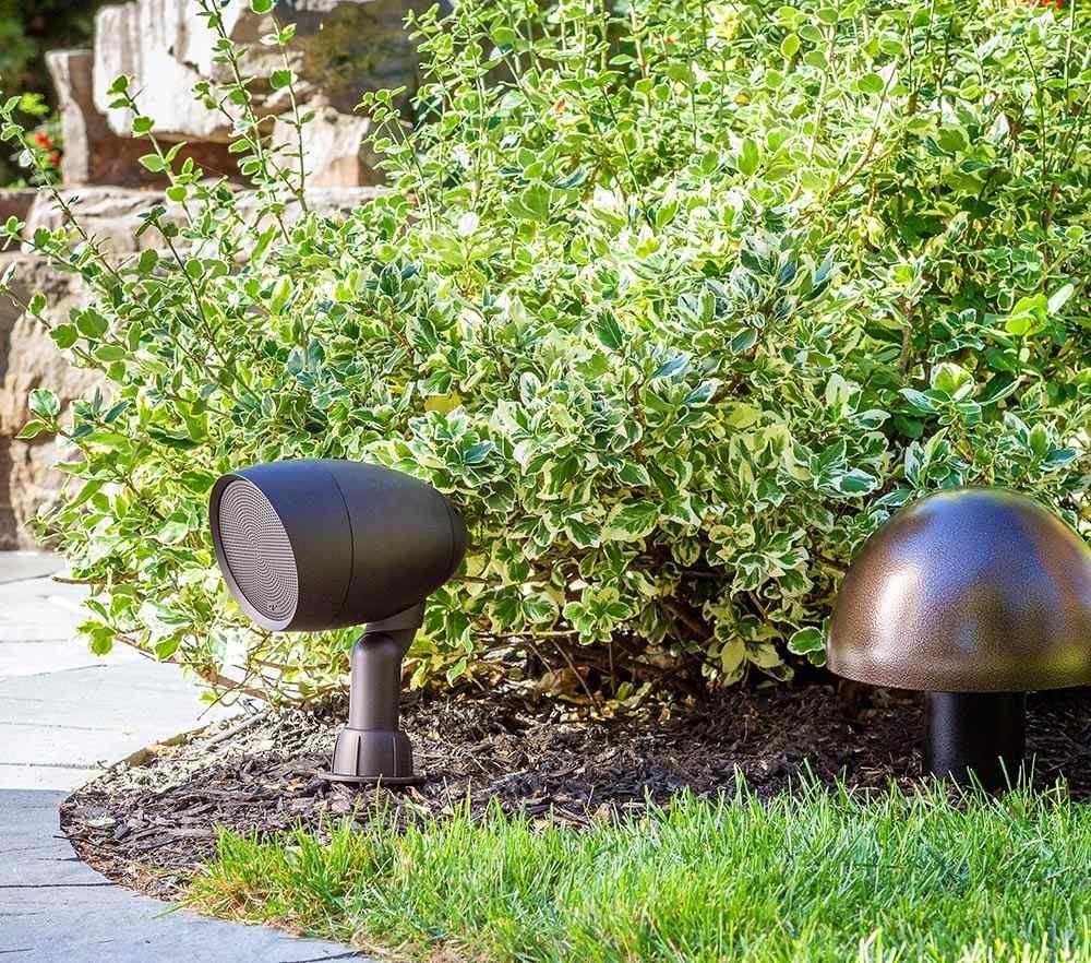 Two speakers are sitting in the grass next to a bush.
