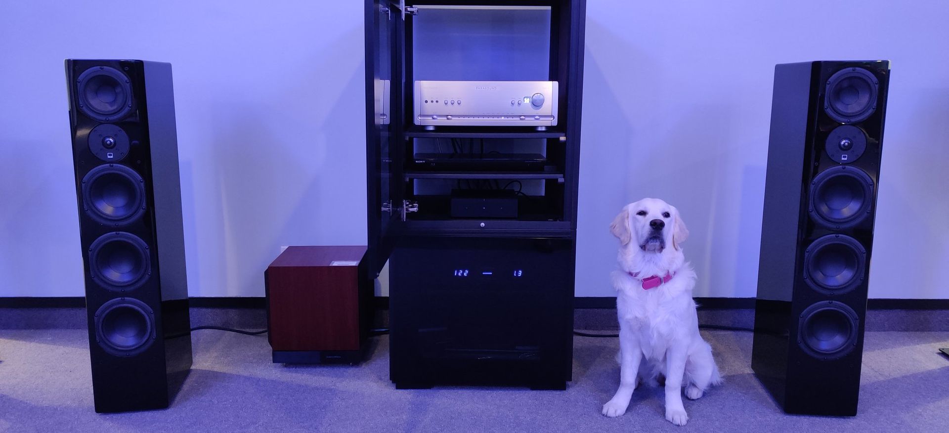 Our Recent Home theater Projects