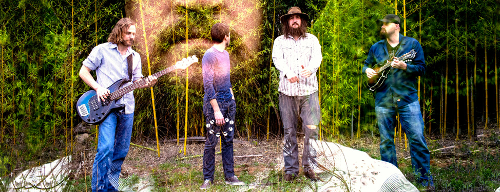 A group of men are standing in the grass playing guitars.