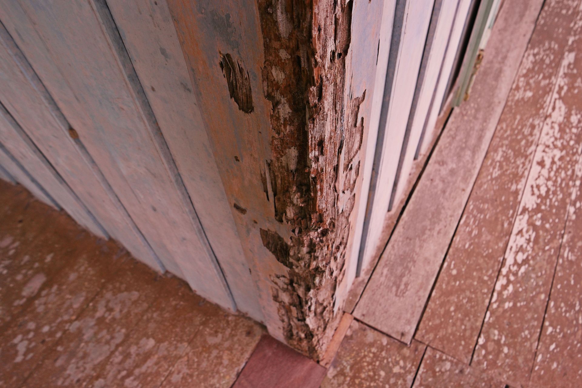 Truly Nolen Pest & Termite Control