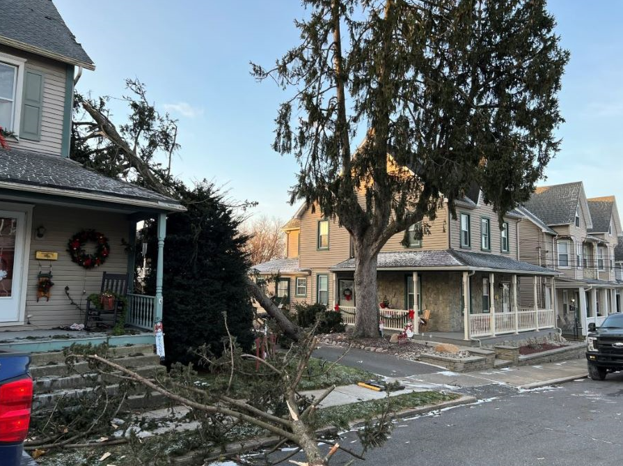a tree has fallen on the sidewalk in front of a house