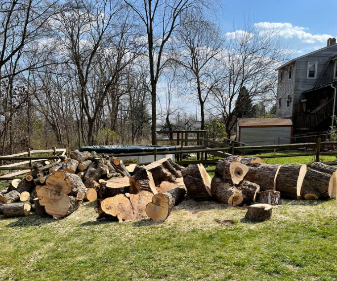 a pile of logs sitting on top of a lush green field