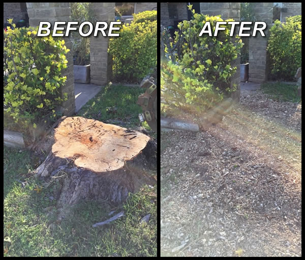 a before and after picture of a tree stump