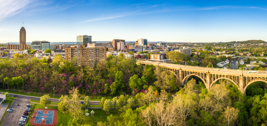 an aerial view of a city with a bridge and a park in the foreground