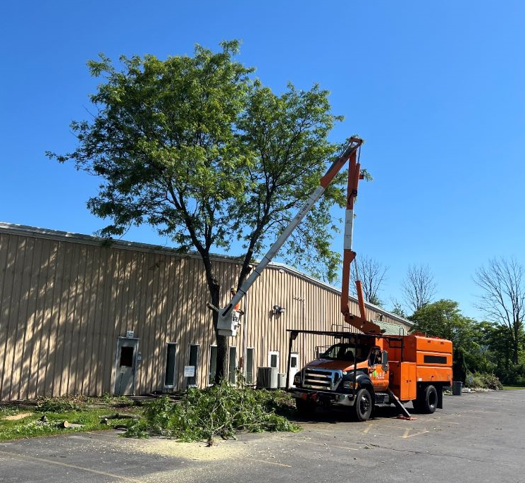 an orange truck is cutting a tree in front of a building