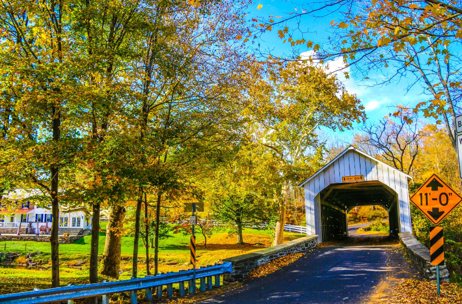 there is a covered bridge on the side of the road .