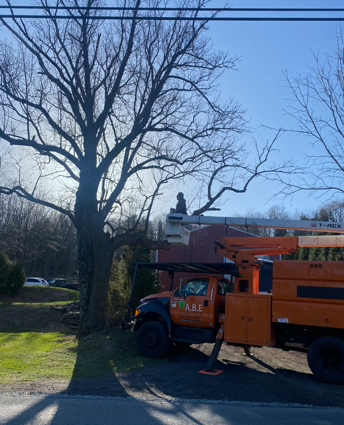 an orange truck is parked in front of a tree