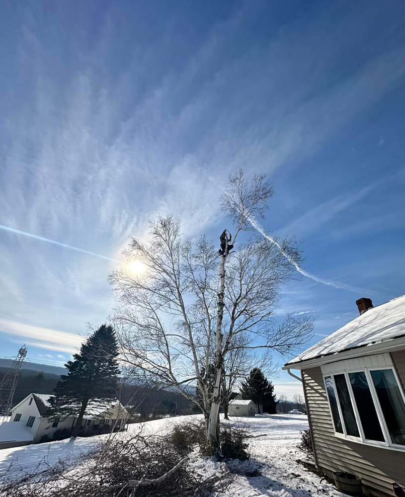 a man is climbing a tree in the snow in front of a house