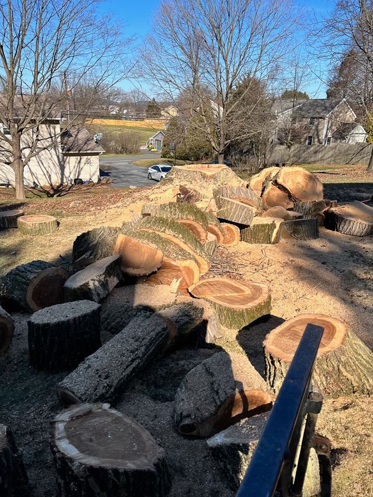 a pile of logs sitting on top of each other in a yard