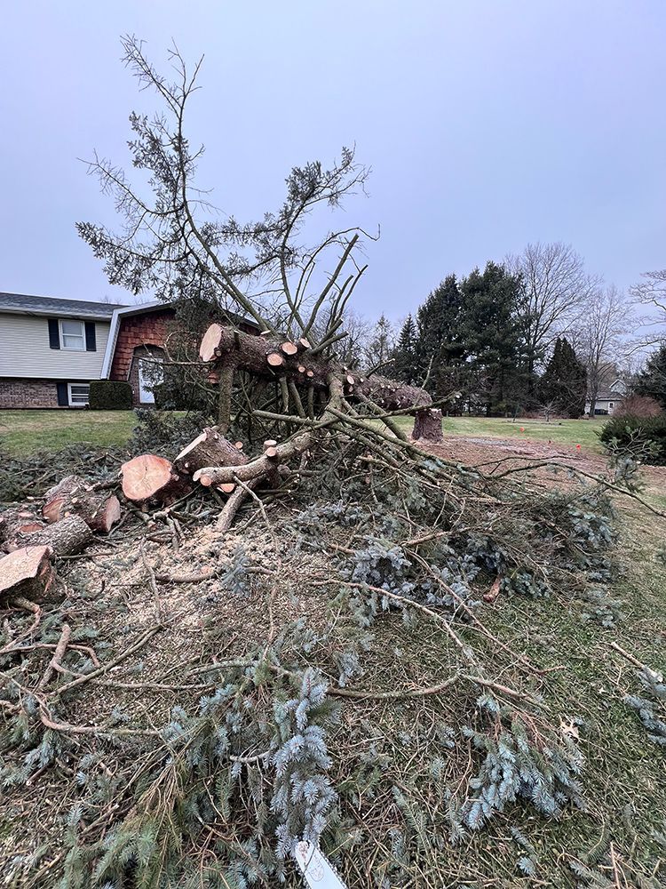 a pile of fallen trees in front of a house
