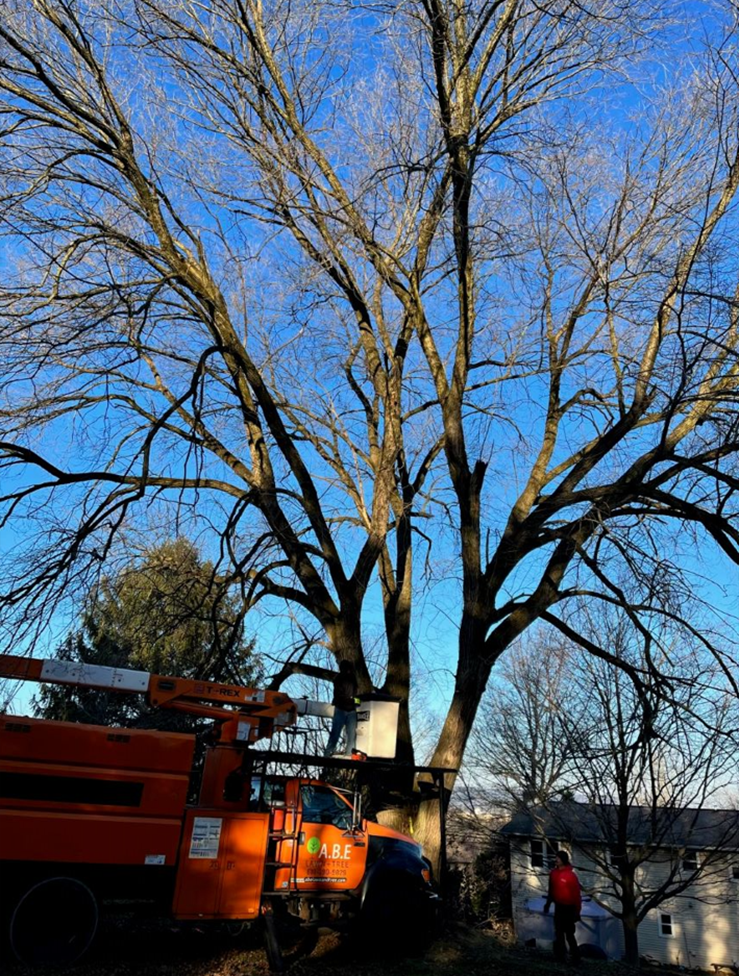 an orange truck is cutting a tree in a yard