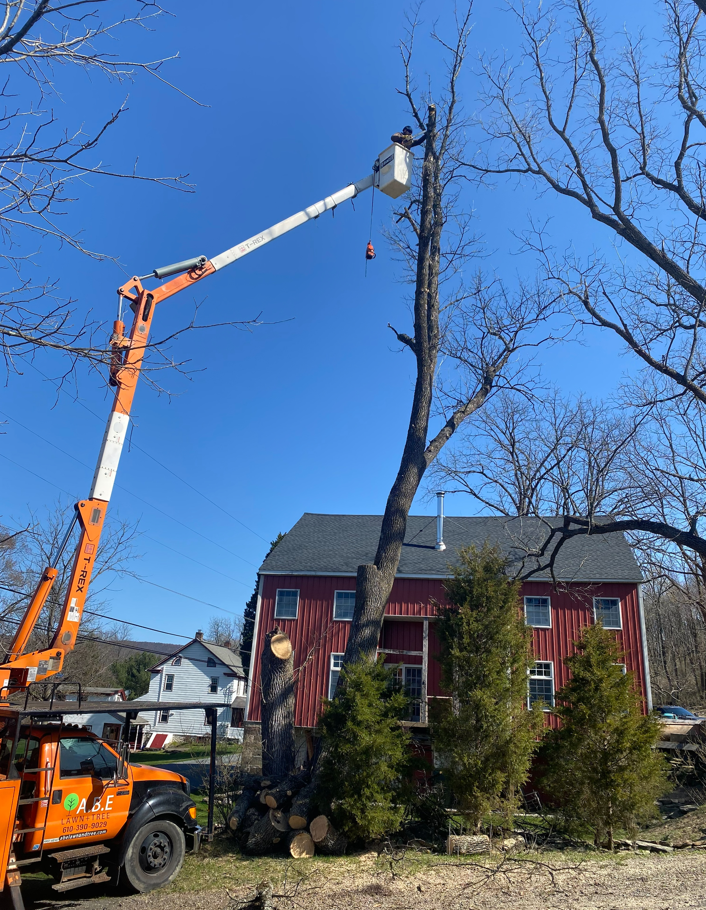 a crane is cutting a tree in front of a red house