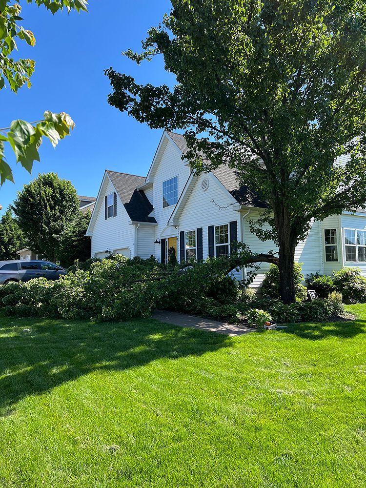 a white house with a tree in front of it