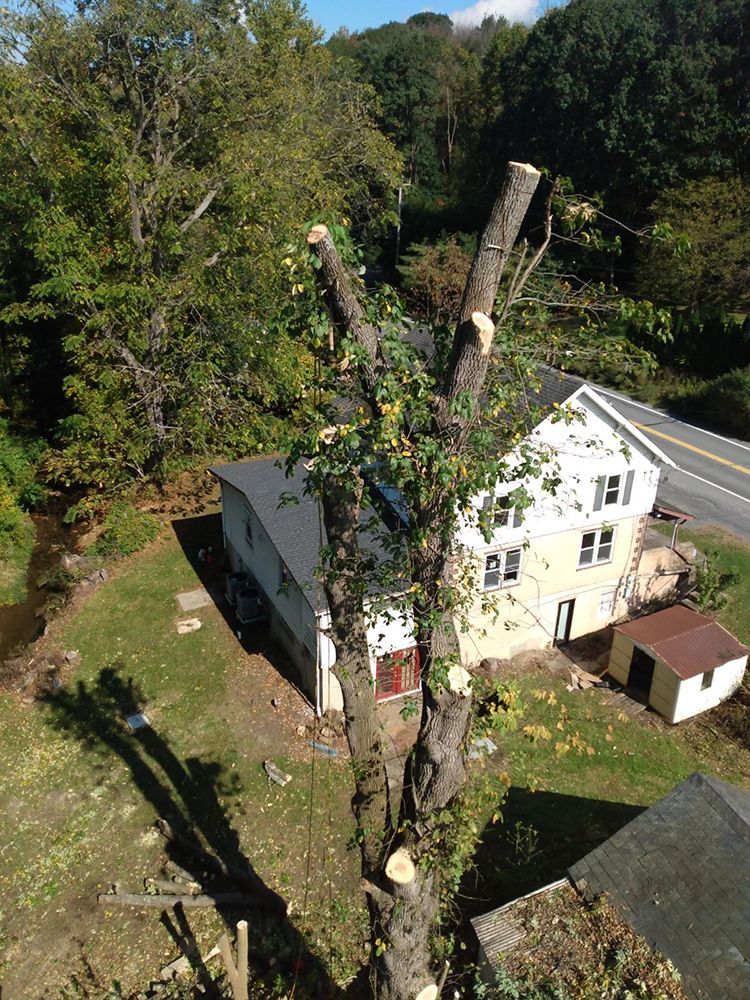 an aerial view of a tree being cut down in front of a house