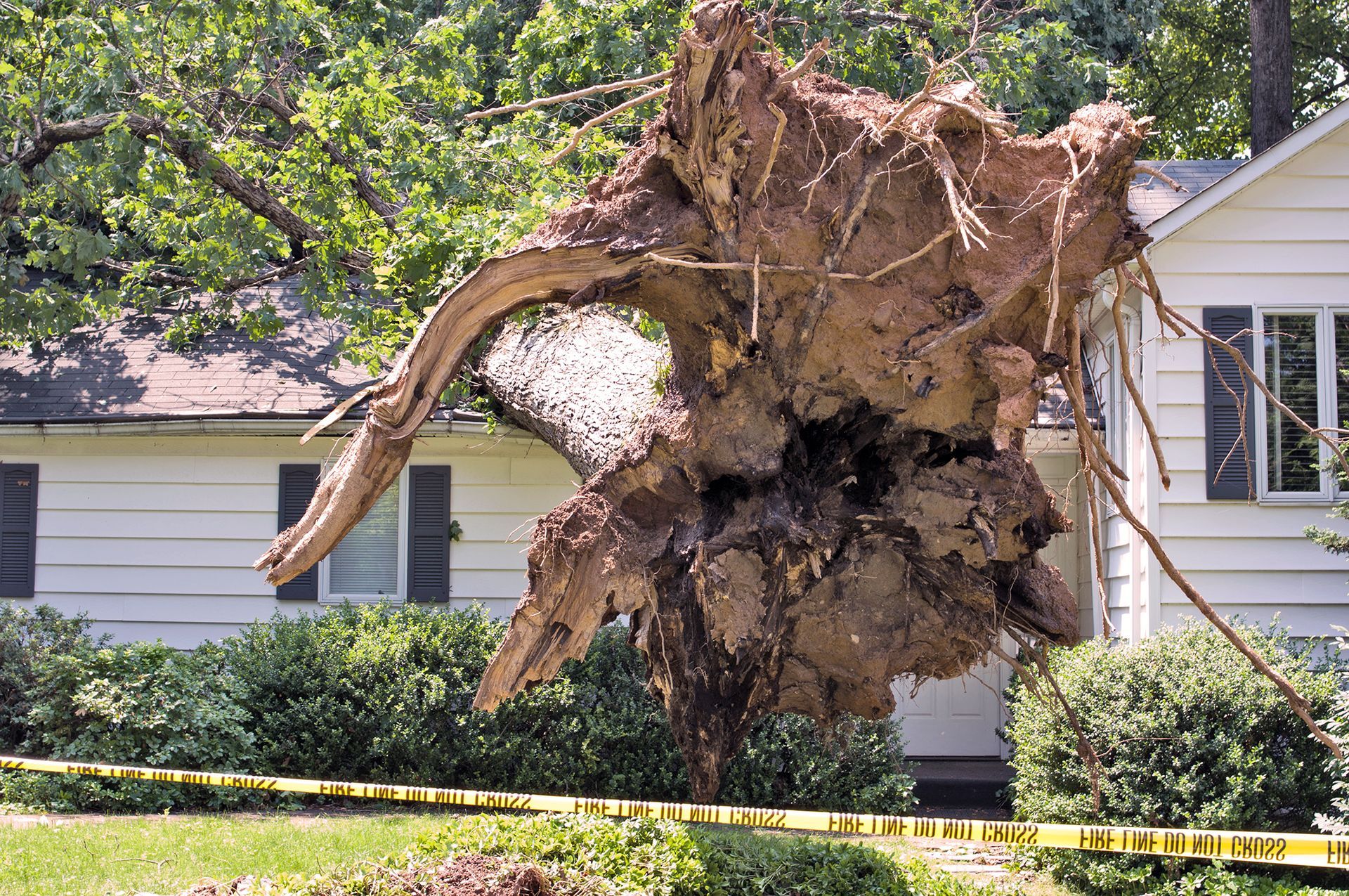 a large tree stump is sitting in front of a house