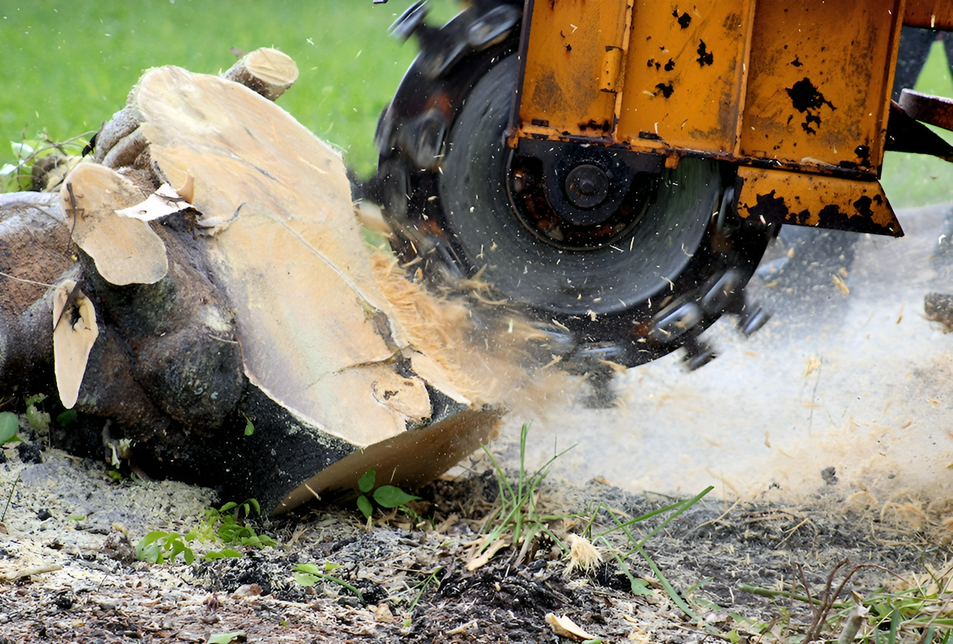 a tree stump is being removed by a machine