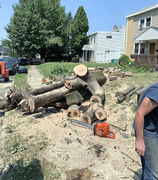 a man is standing next to a pile of logs and a chainsaw