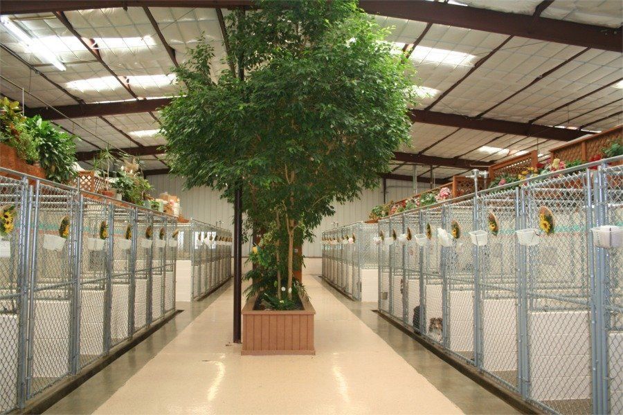 A large building with lots of kennels and a tree in the middle