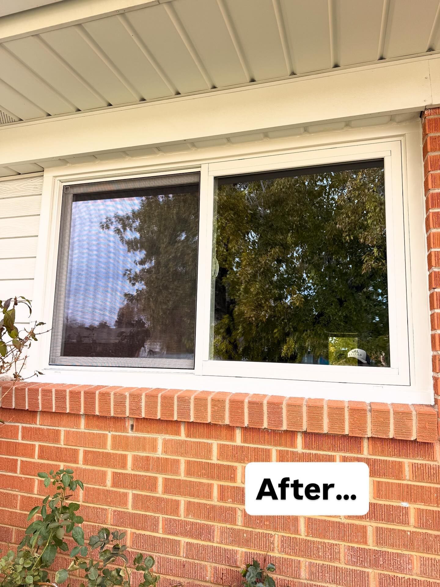 Newly installed white window, reflected trees, set in red brick wall