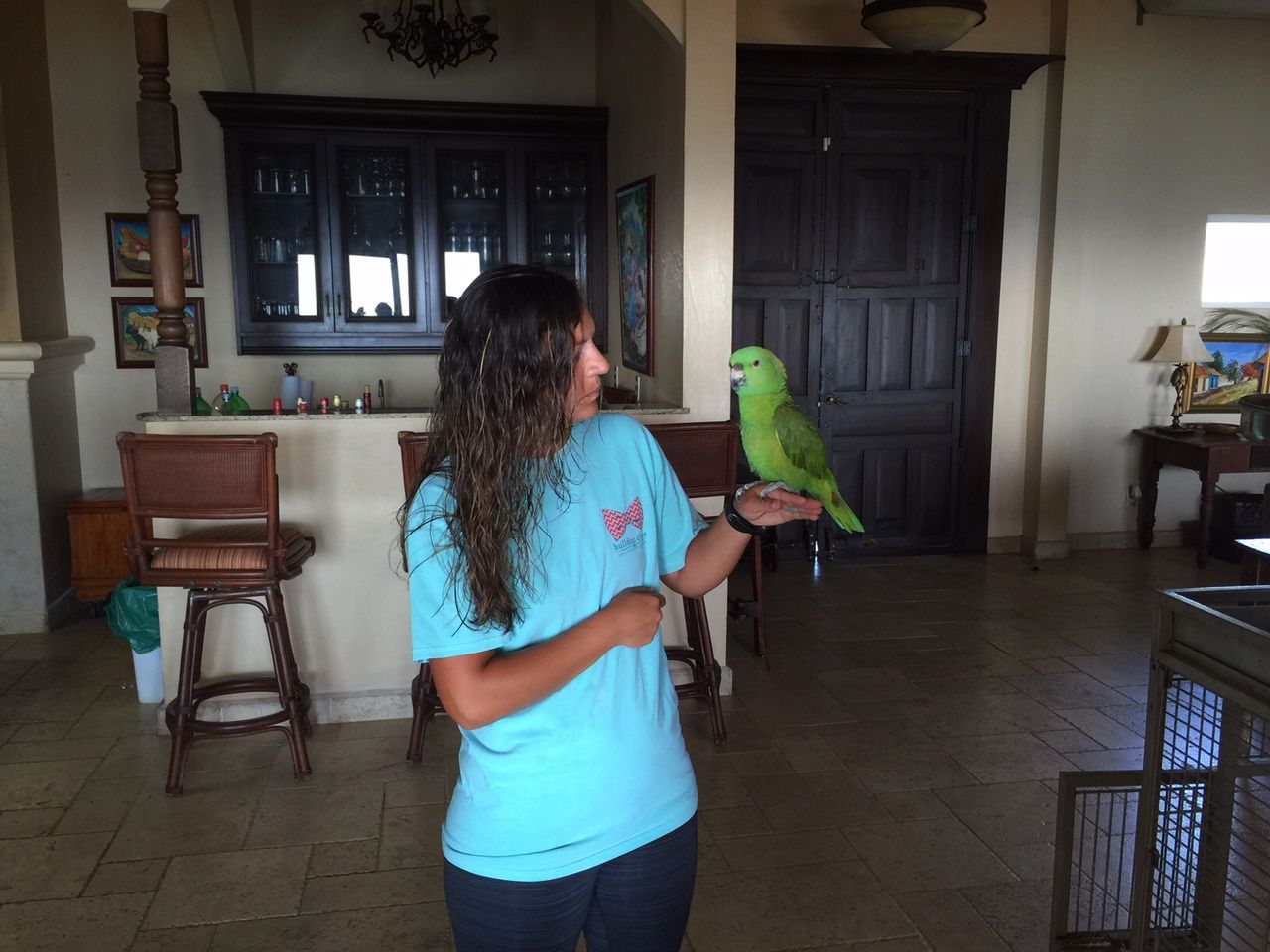 Parrot sitting on woman's hand
