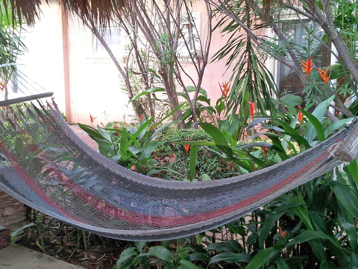 Hammock