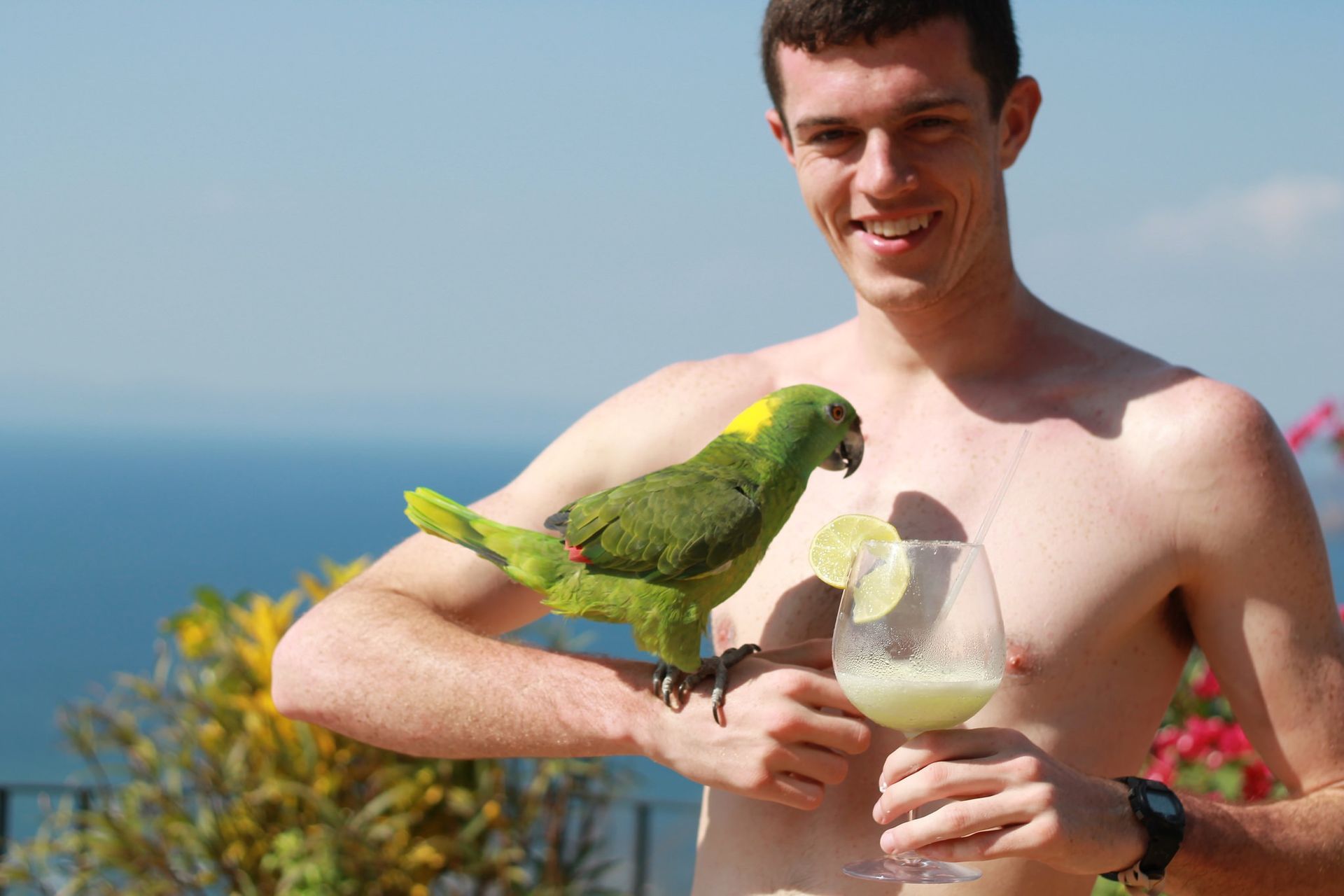 Parrot & Margarita