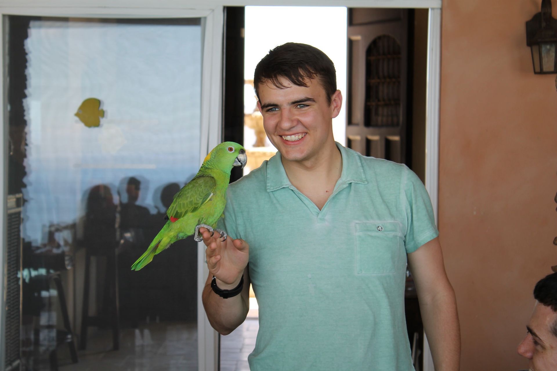 Parrot sitting on a man's hand