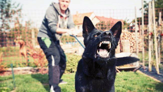 A man is standing next to a black dog on a leash.