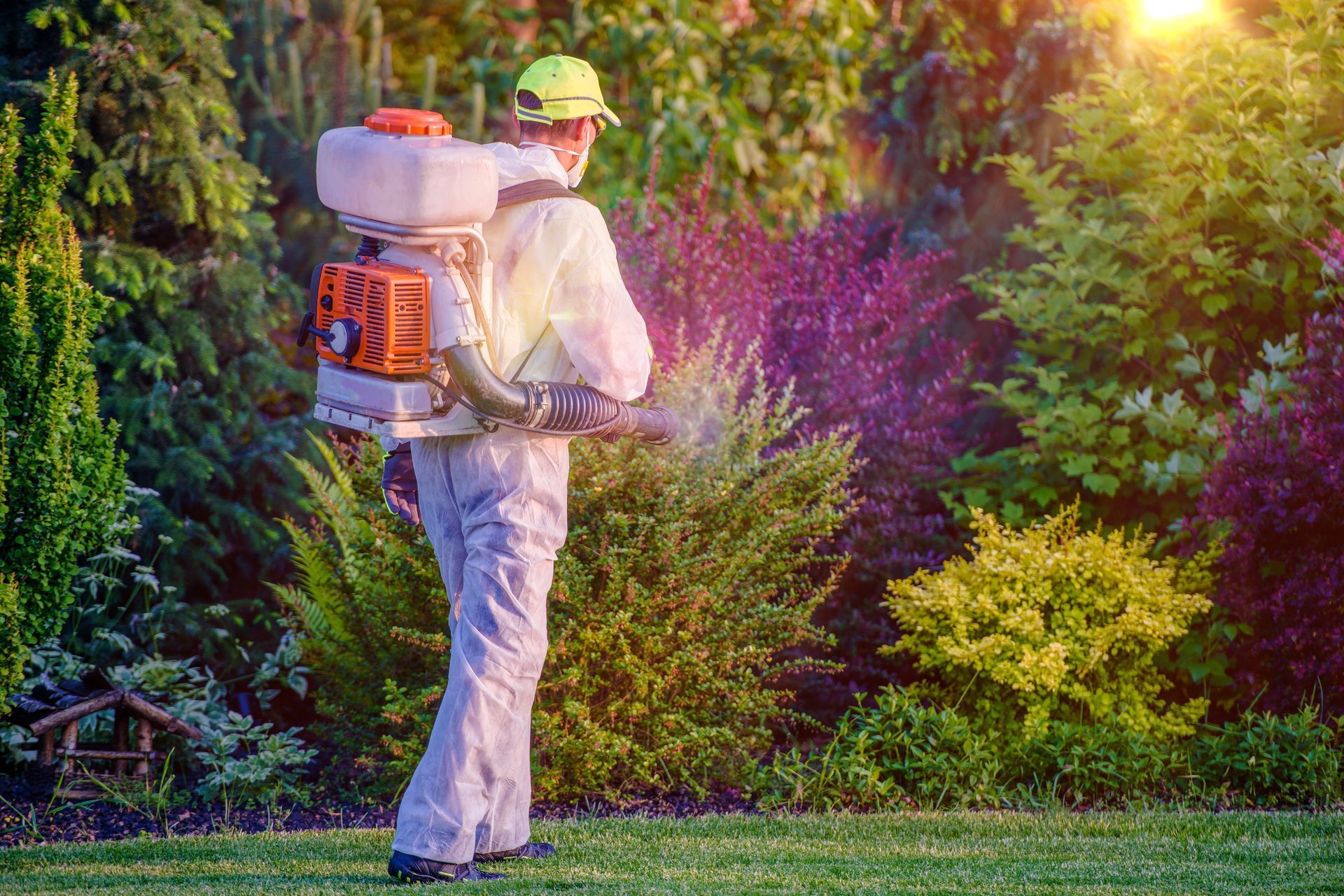 Pest control technician applying pesticides to a customer's garden.