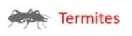 Termite control services icon