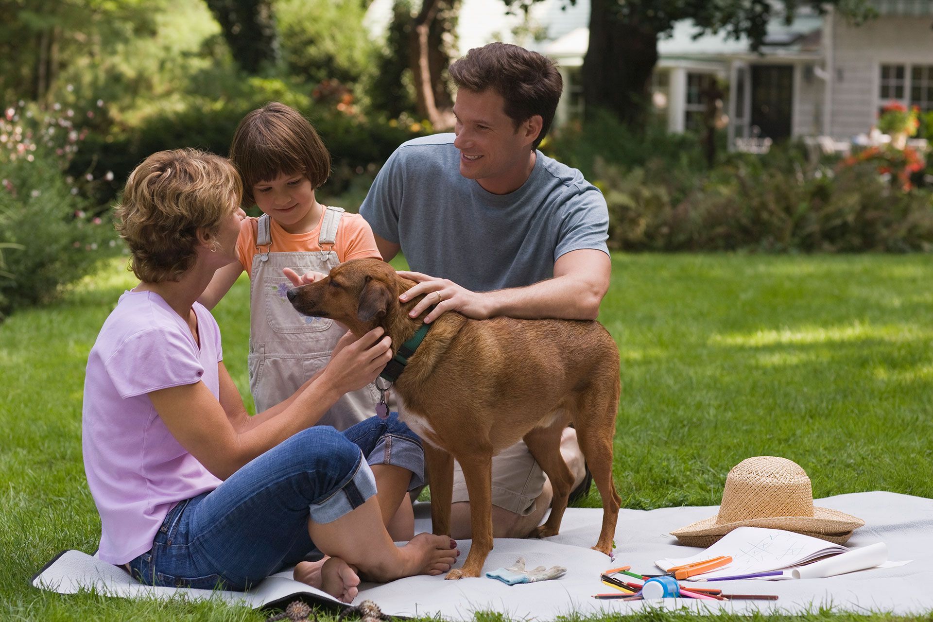 A family petting a dog while sitting on a blanket in the grass