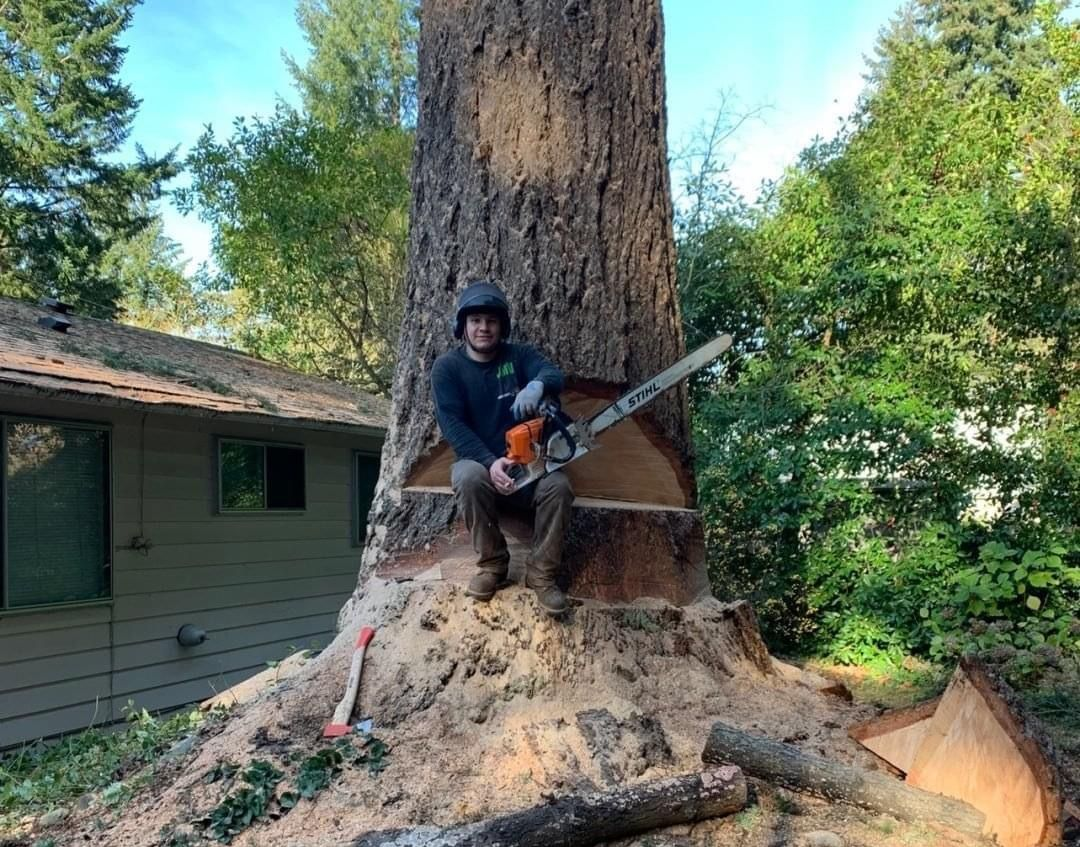 JMV Professional Tree Service LLC