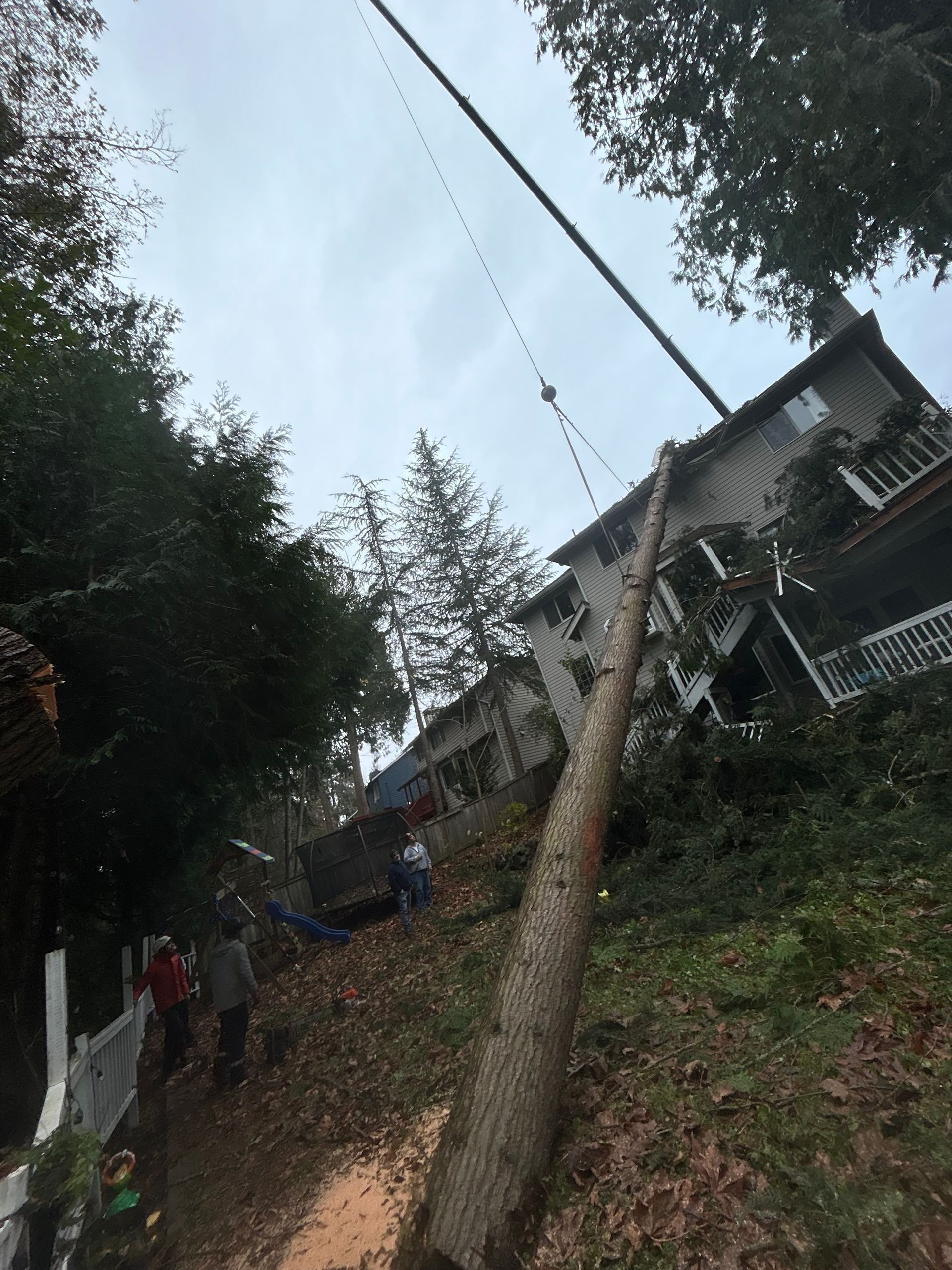 A fallen utility pole resting on a hillside near a house; workers in the area. Cloudy sky overhead.