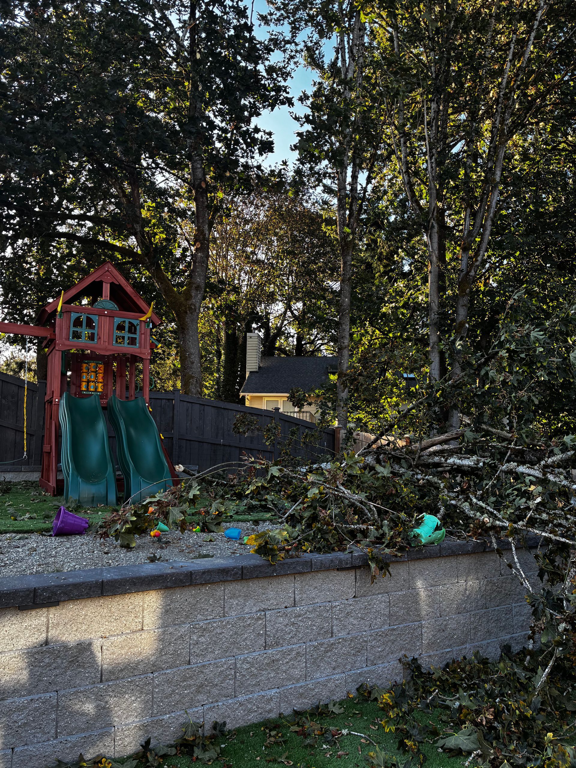 A backyard with a play structure, overgrown vegetation, and a concrete wall.