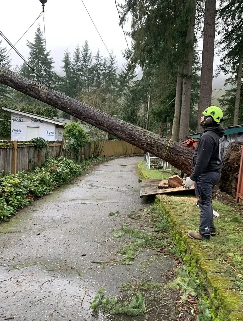 Arborist in a green helmet watches a long log being lifted by a crane near a driveway.