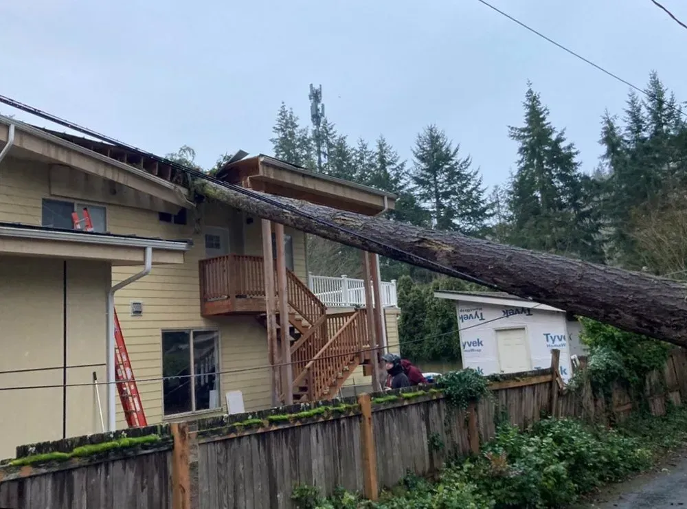 A fallen tree has damaged a two-story yellow building. A ladder leans against the wall.