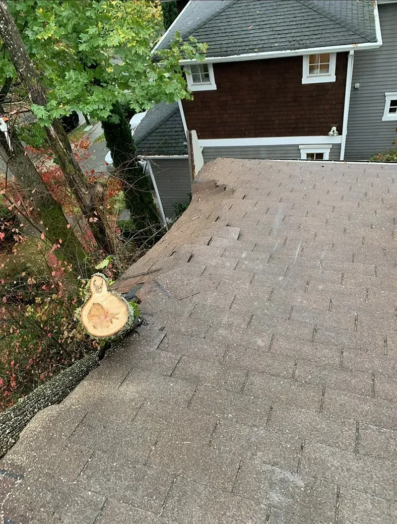Overhead view of a rooftop with a tree stump, near a two-story house with gray siding.