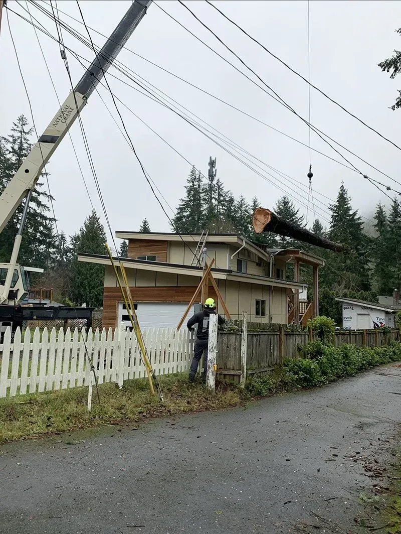 A crane lifts a large tree trunk over a house, near power lines. A worker stands below.