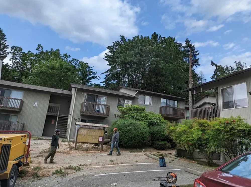Workers near apartment buildings, cutting trees. Cloudy sky.