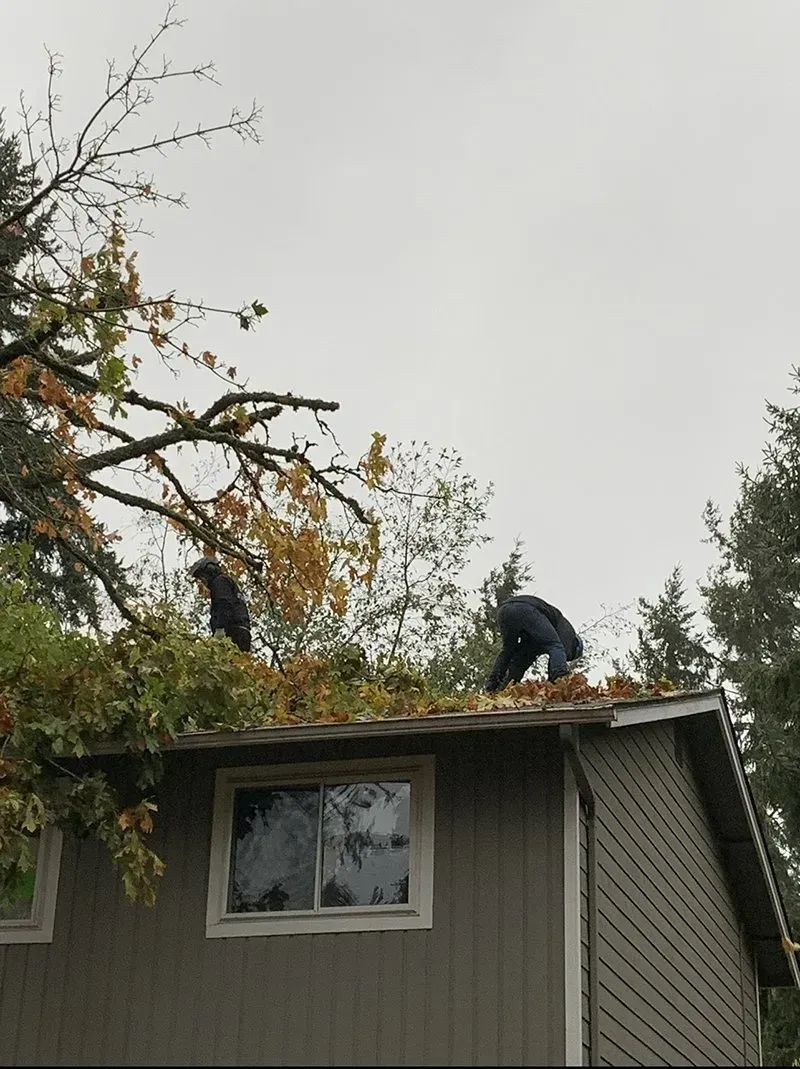 Two people on a roof, removing leaves, cloudy sky, trees in the background.