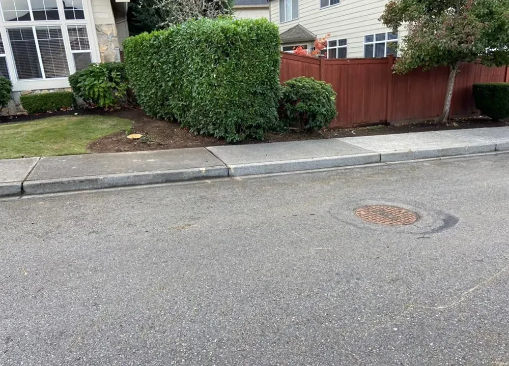 Asphalt road with sidewalk, landscaped yard, hedge, and sewer cover. Buildings and a fence are in the background.