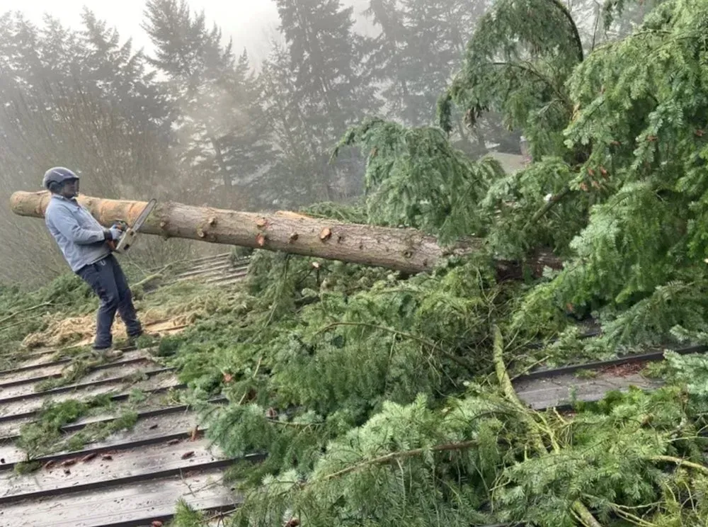 A person on a roof cuts a fallen tree with a chainsaw, trees and fog in the background.