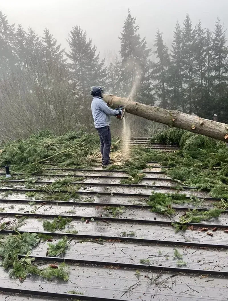 Person cutting a log on a roof with a chainsaw, surrounded by fallen tree branches and pine trees in the background.