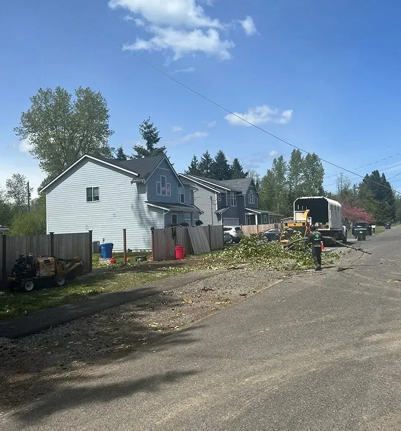 Street view: Tree trimming in progress. Branches on road, equipment, homes in the background under a blue sky.