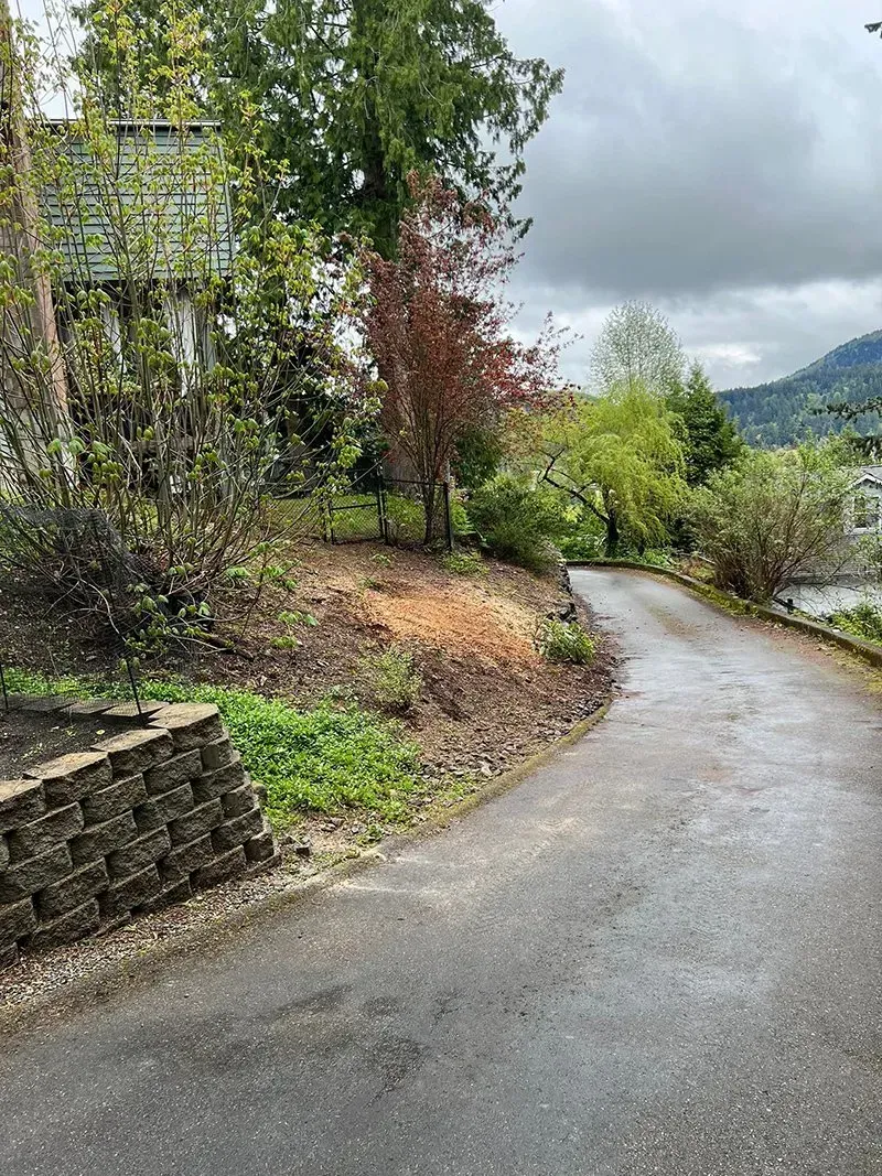 Asphalt driveway curves uphill; bare dirt patch, retaining wall, and trees under cloudy sky.