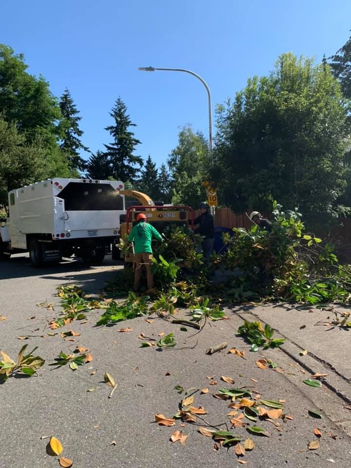 Men feeding brush into a wood chipper on a sunny street. White truck nearby.