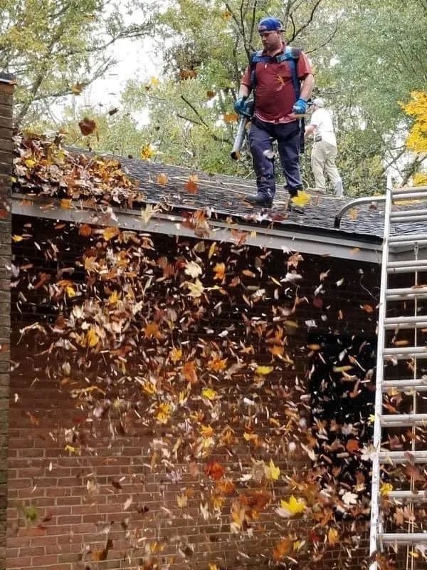 Worker using a leaf blower on a roof, blowing autumn leaves into the air beside a ladder.