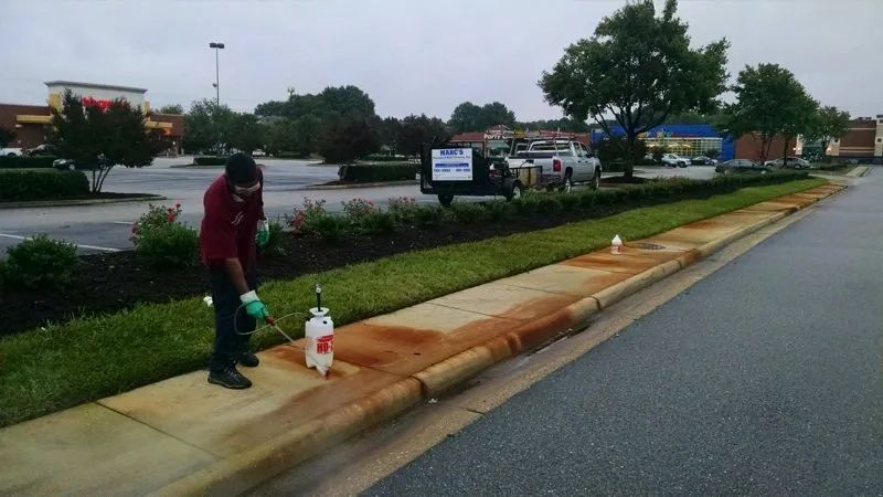 Person walking a dog on a rainy roadside near a grassy median and parked cars