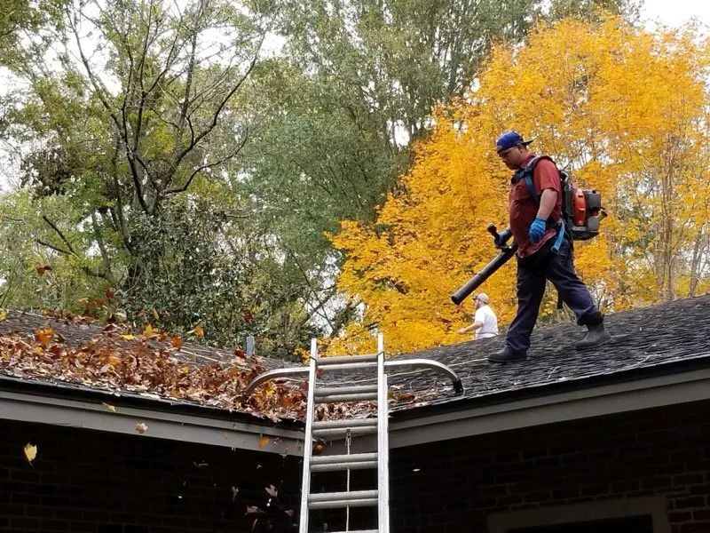 Worker clearing leaves from a roof beside a ladder, with autumn trees in the background