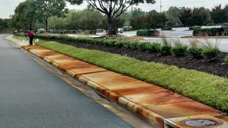 Curved roadside landscaping with tan curb, green shrubs, trees, and wet pavement after rain